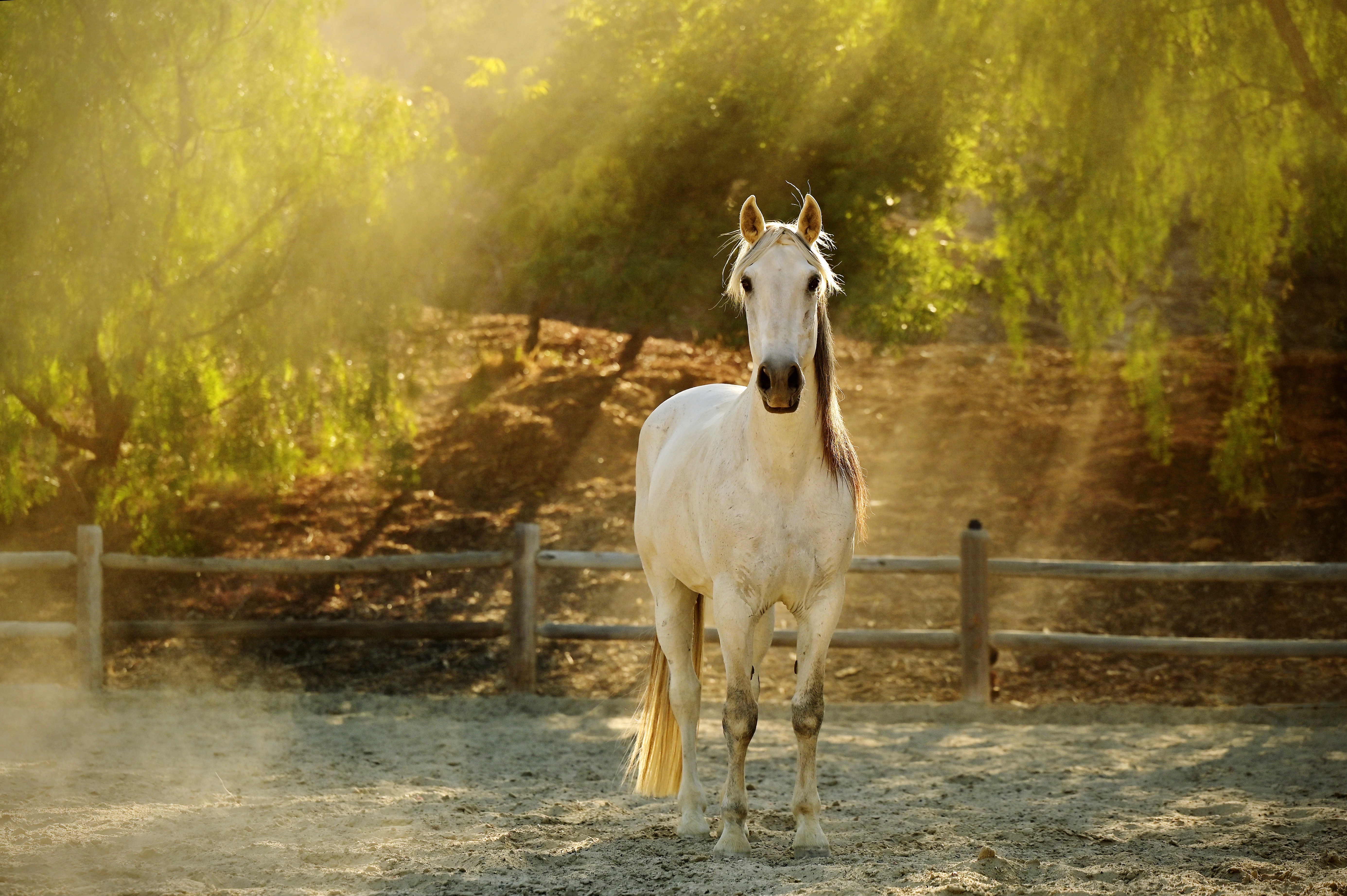 Retreat at La Esperanza Ranch